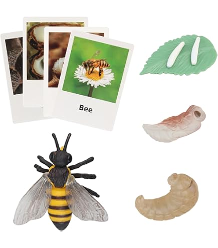 Amazon.co.jp: ミツバチ フィギュア Honeybee 14cm : Toys & Games